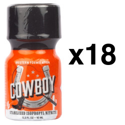 BGP Leather Cleaner COWBOY 10ml x18